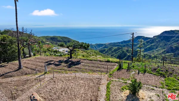 a view of a yard with an ocean view