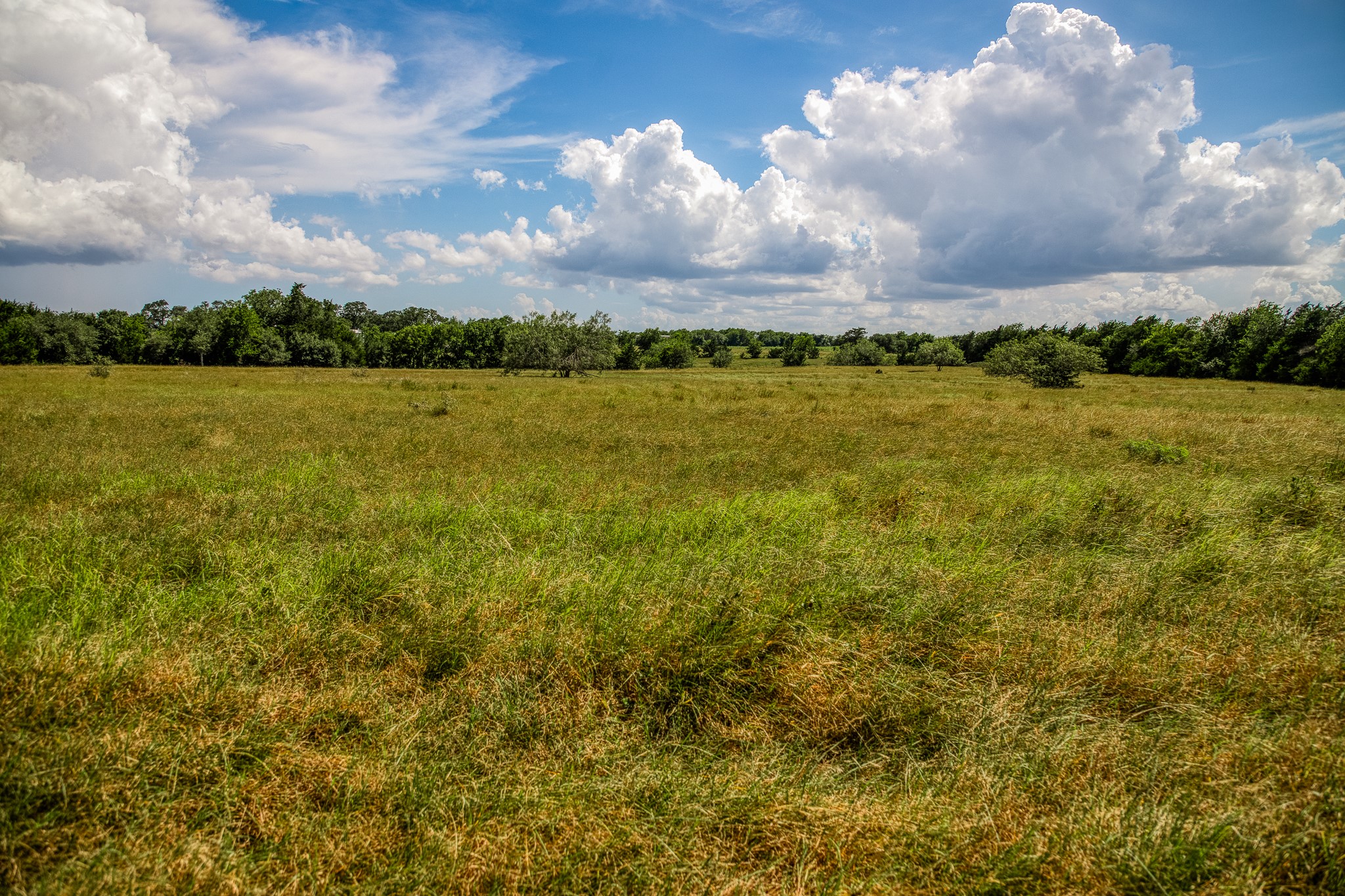 3420 Rohde Road Round Top, TX 78954 - Photo 12 of 28 a view of a lake