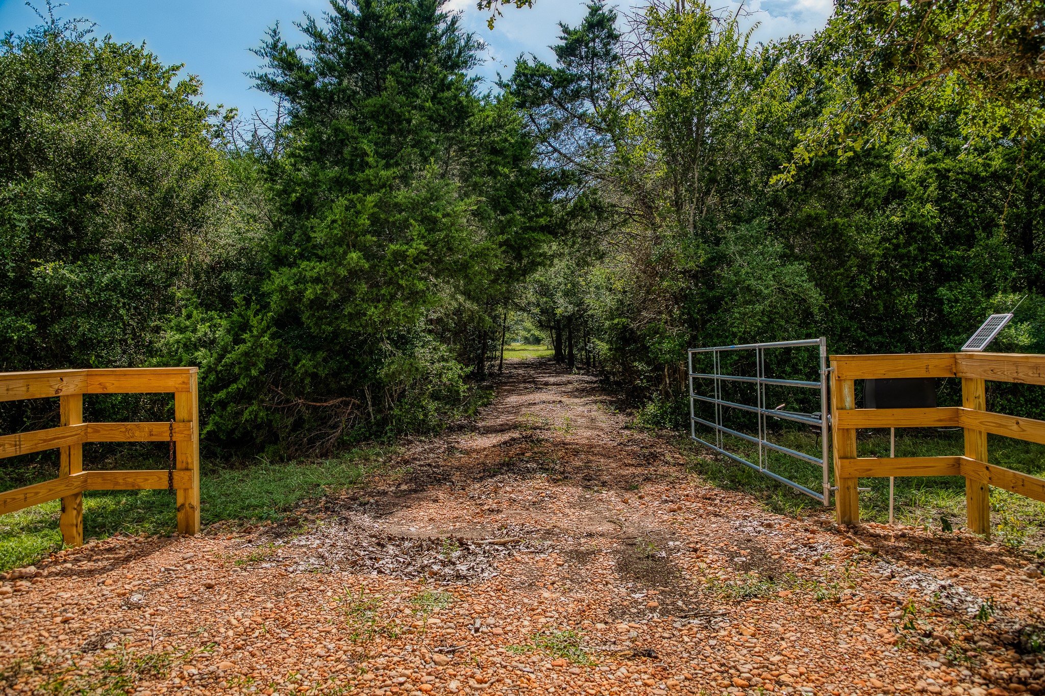 3420 Rohde Road Round Top, TX 78954 - Photo 13 of 28 a view of an empty room with stairs and a yard