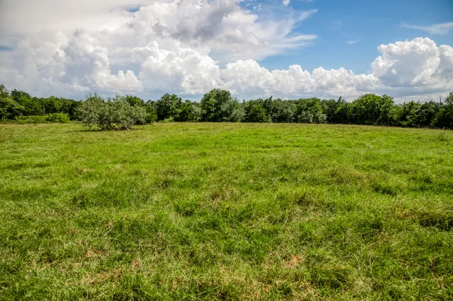 a view of a big yard with lots of green space