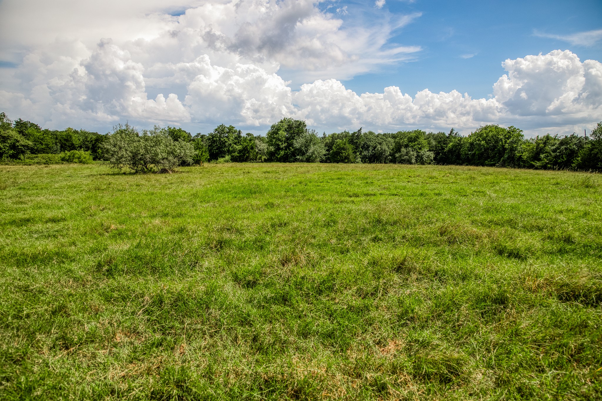 3420 Rohde Road Round Top, TX 78954 - Photo 2 of 28 a view of a big yard with lots of green space