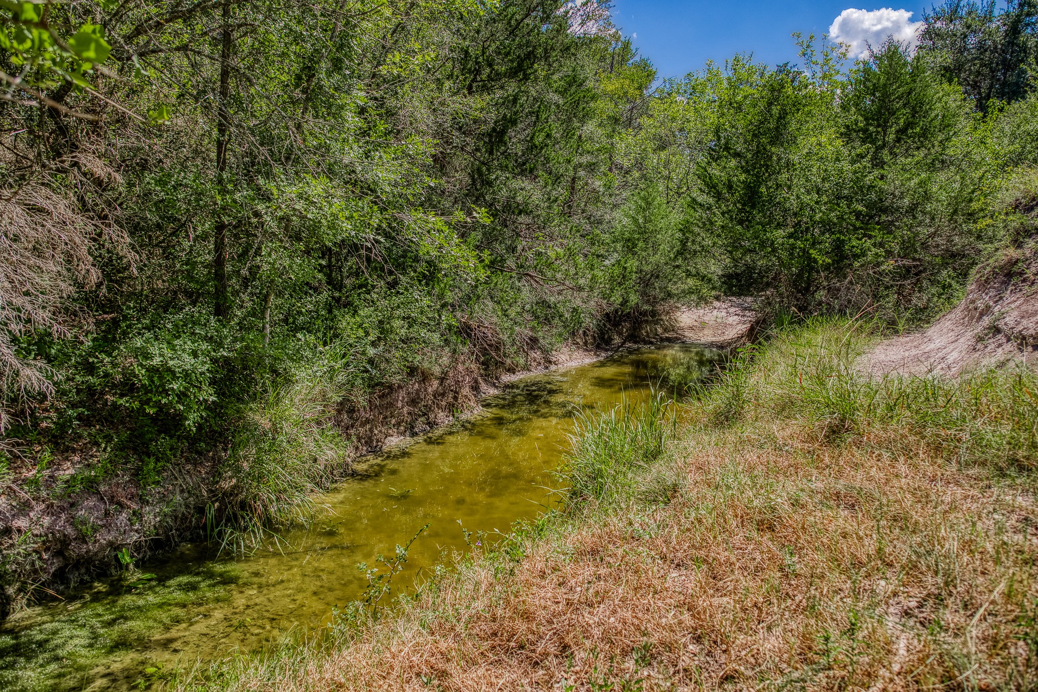 3420 Rohde Road Round Top, TX 78954 - Photo 3 of 28 a view of swimming pool from a yard