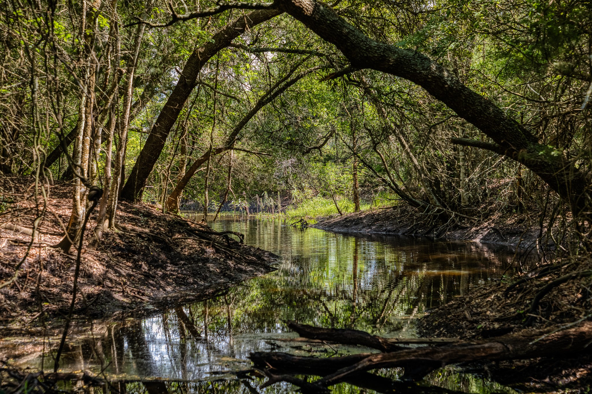 3420 Rohde Road Round Top, TX 78954 - Photo 4 of 28 a view of lake