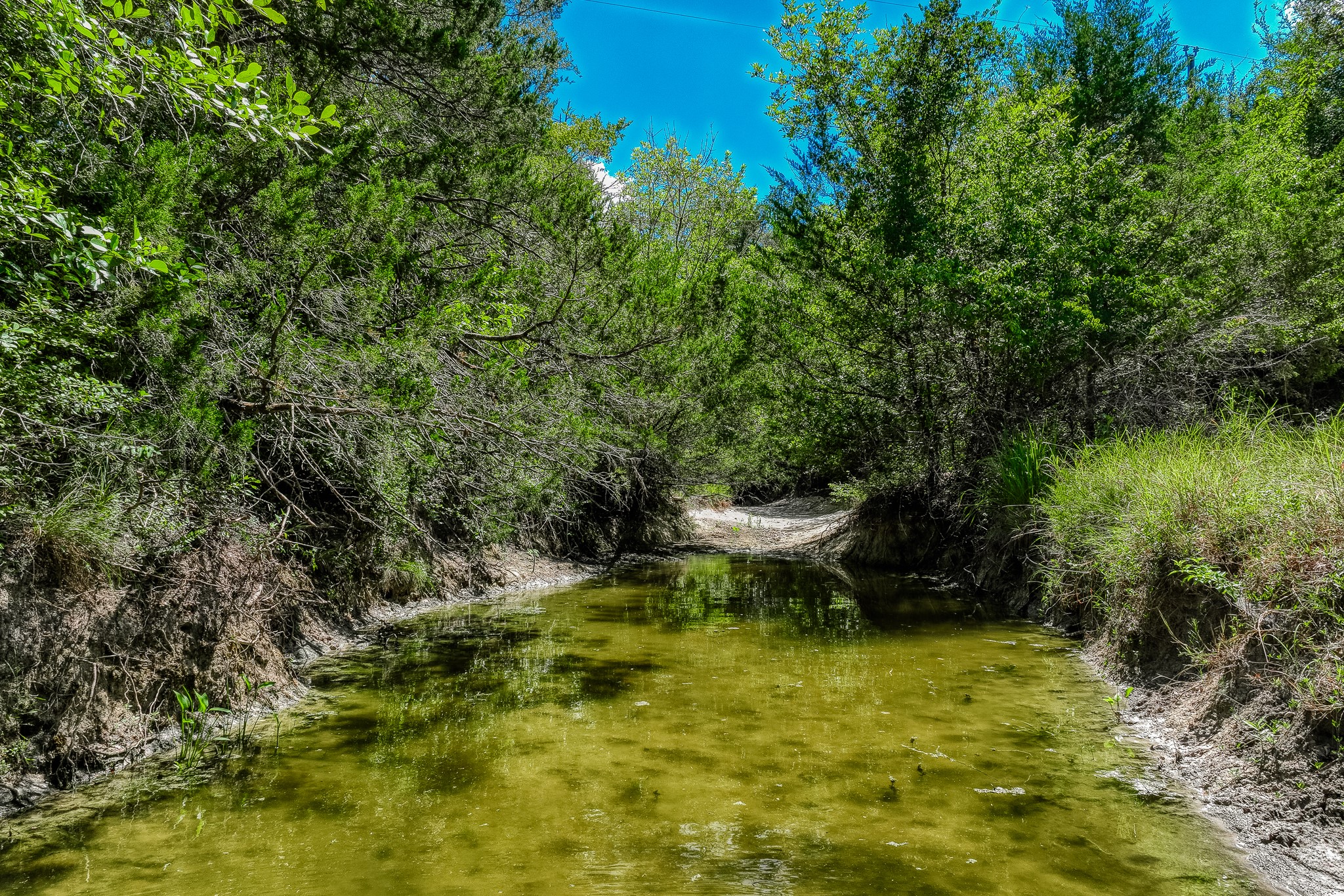 3420 Rohde Road Round Top, TX 78954 - Photo 5 of 28 a view of a lake view