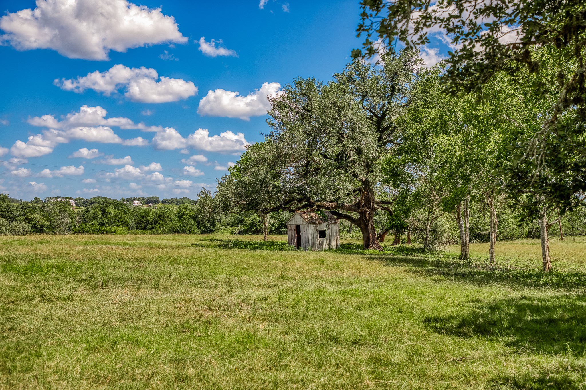 3420 Rohde Road Round Top, TX 78954 - Photo 7 of 28 a view of outdoor space with trees all around