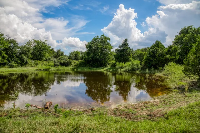 a body of water with a tree in the background