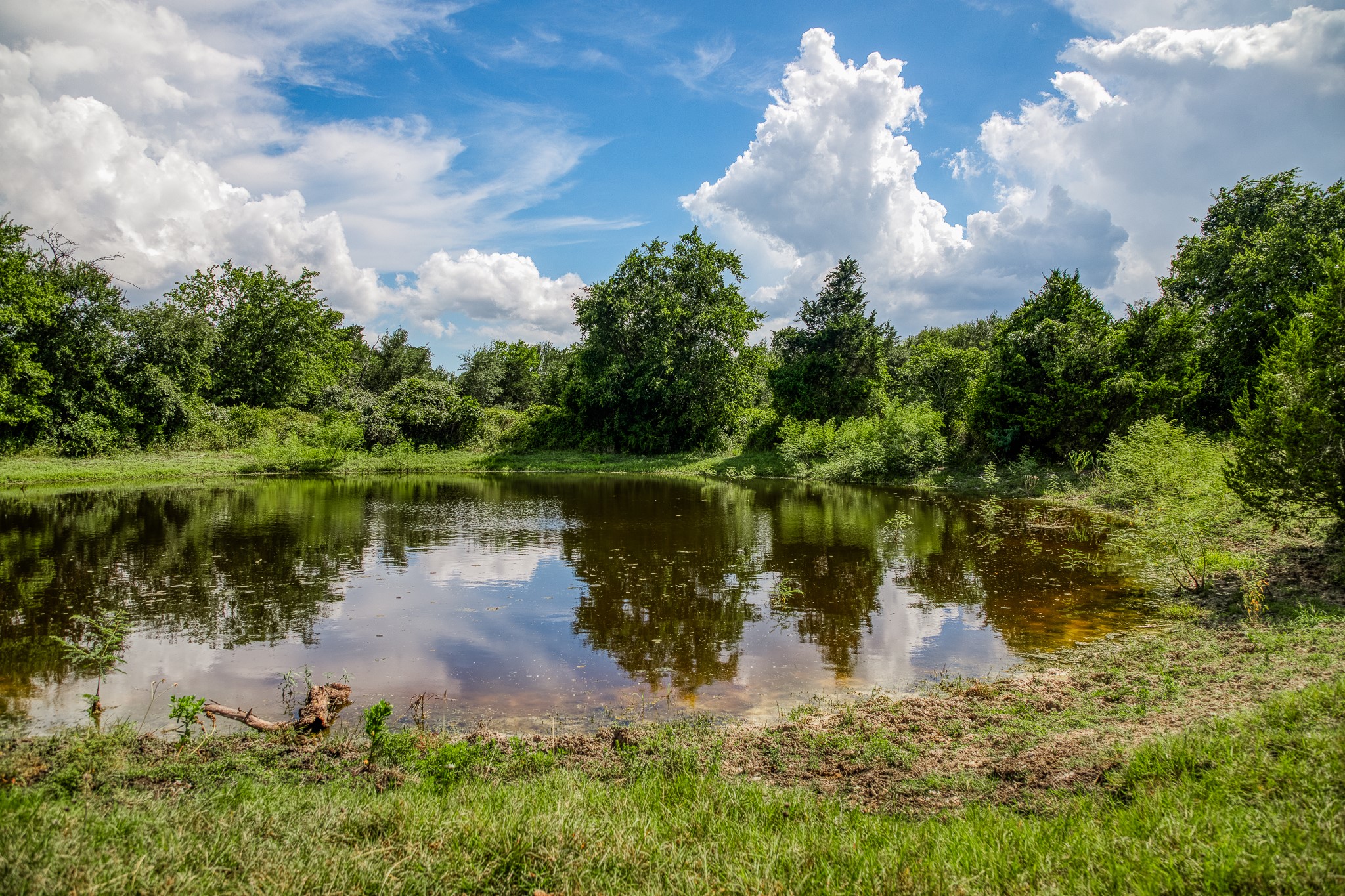3420 Rohde Road Round Top, TX 78954 - Photo 9 of 28 a body of water with a tree in the background