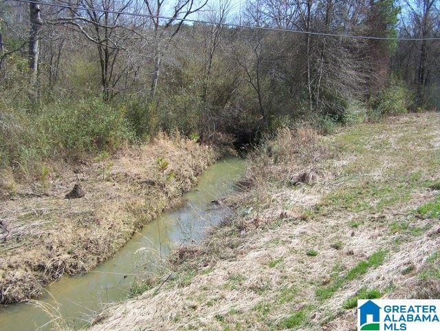 0 Mitchellville Road, Unit ACREAGE Lincoln, AL 35096 - Photo 13 of 19