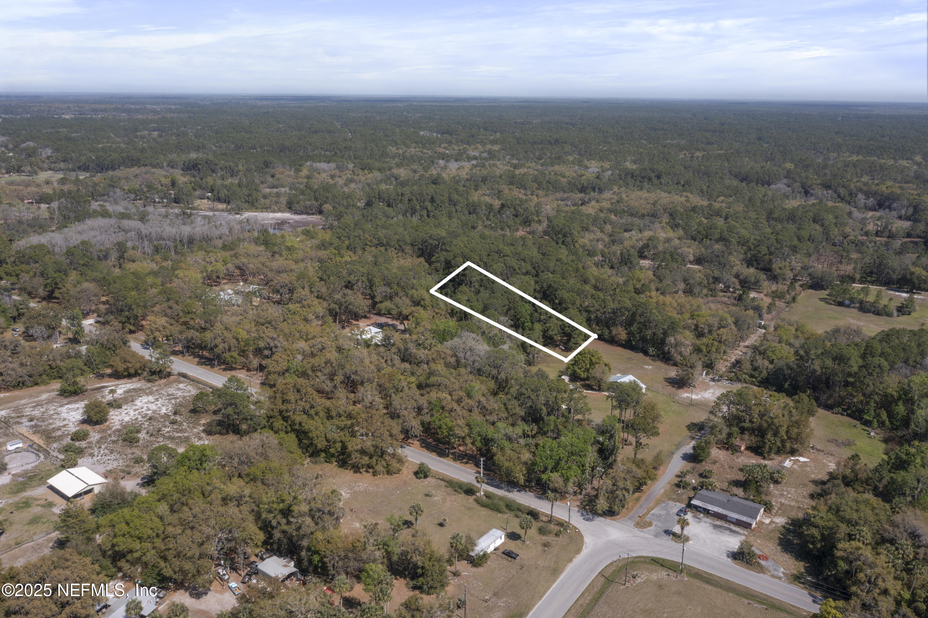 32 Lone Laurel Lane Georgetown, FL 32139 - Photo 8 of 12 DJI_0623a