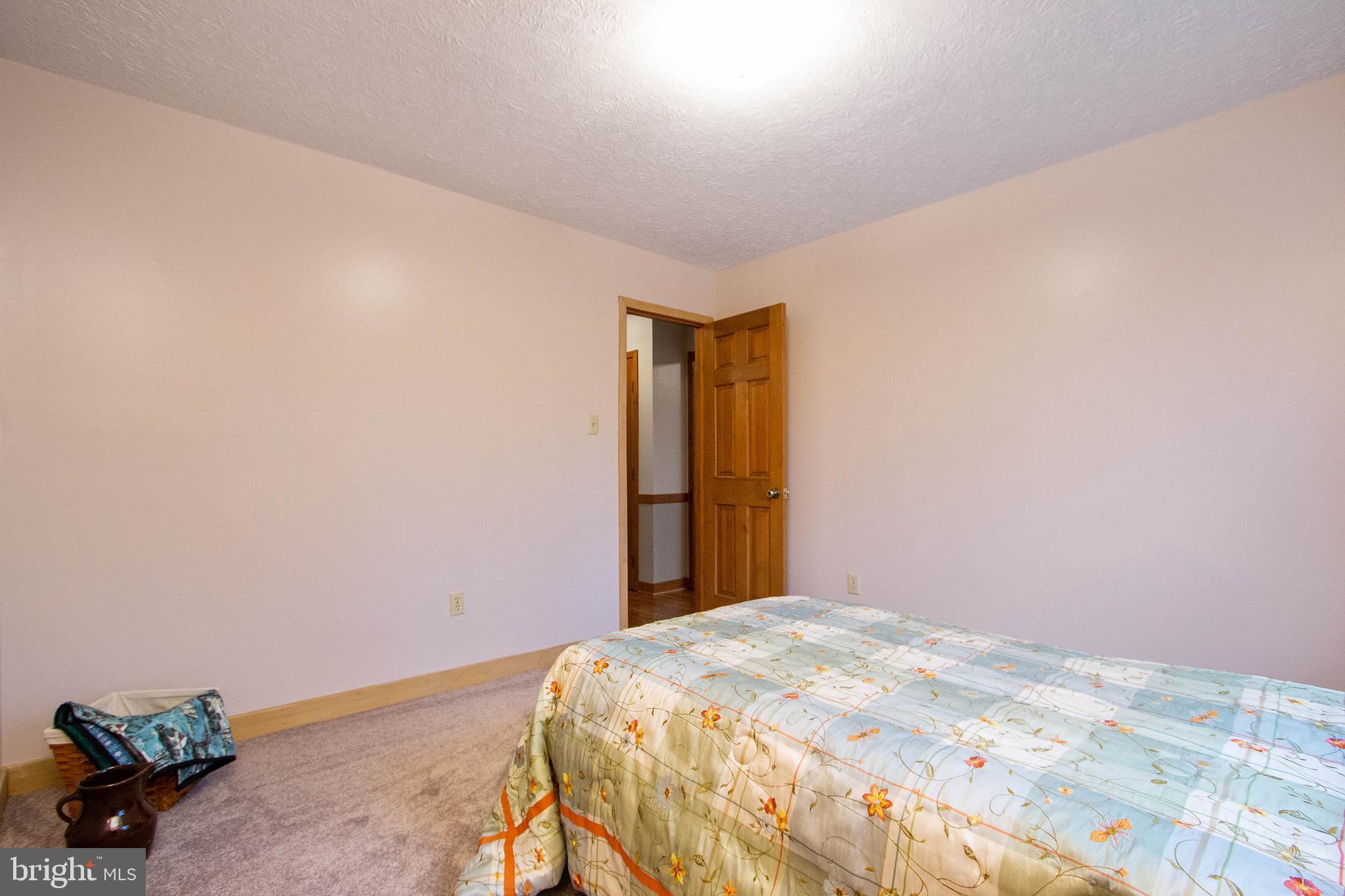 1419 Cauthorn Mill Road Middletown, VA 22645 - Photo 22 of 42 RECENTLY PAINTED THROUGHOUT
