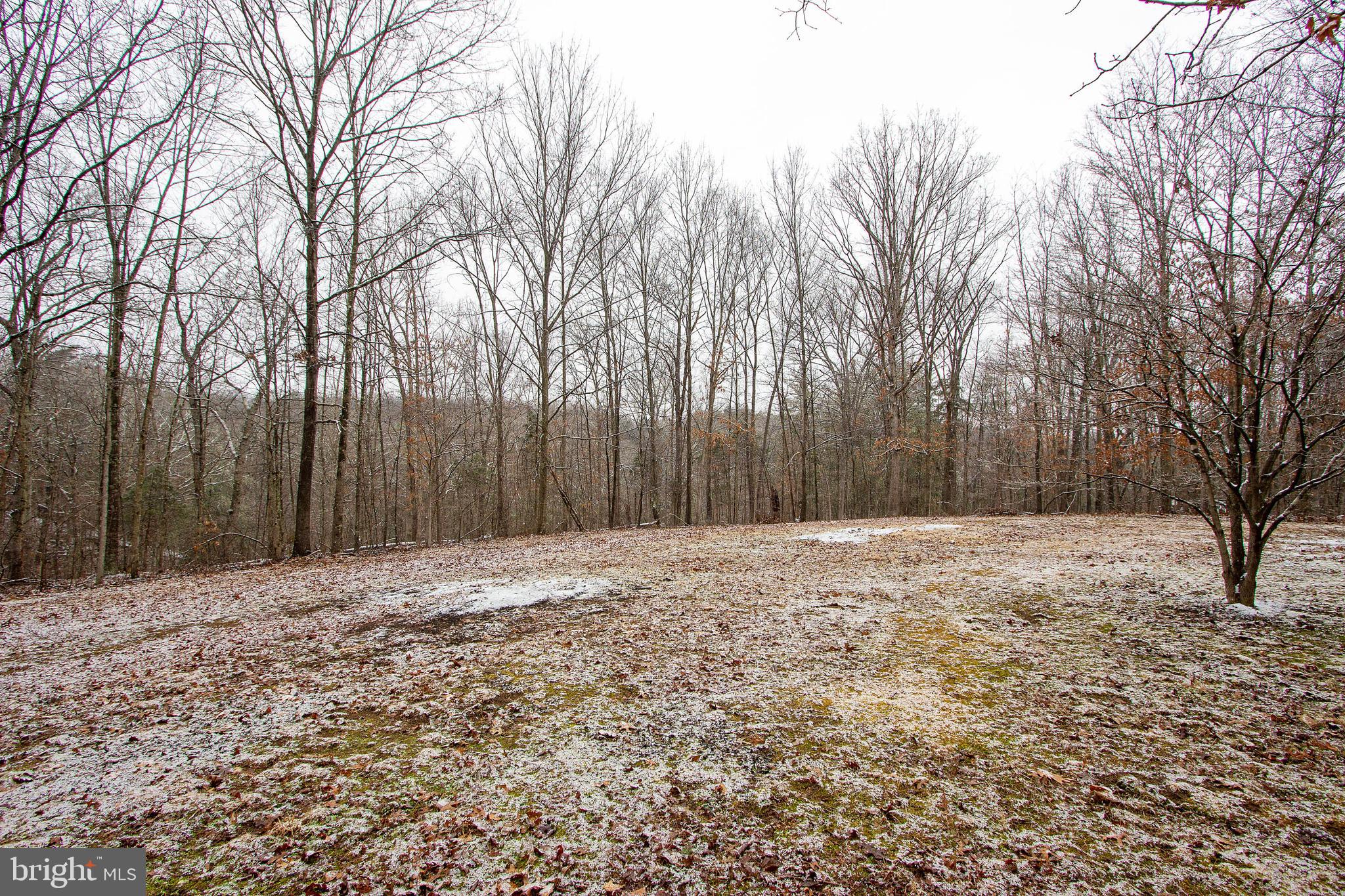 1419 Cauthorn Mill Road Middletown, VA 22645 - Photo 41 of 42 10 ACRES OF MOSTLY TREED LAND, BRING YOUR ANIMALS!