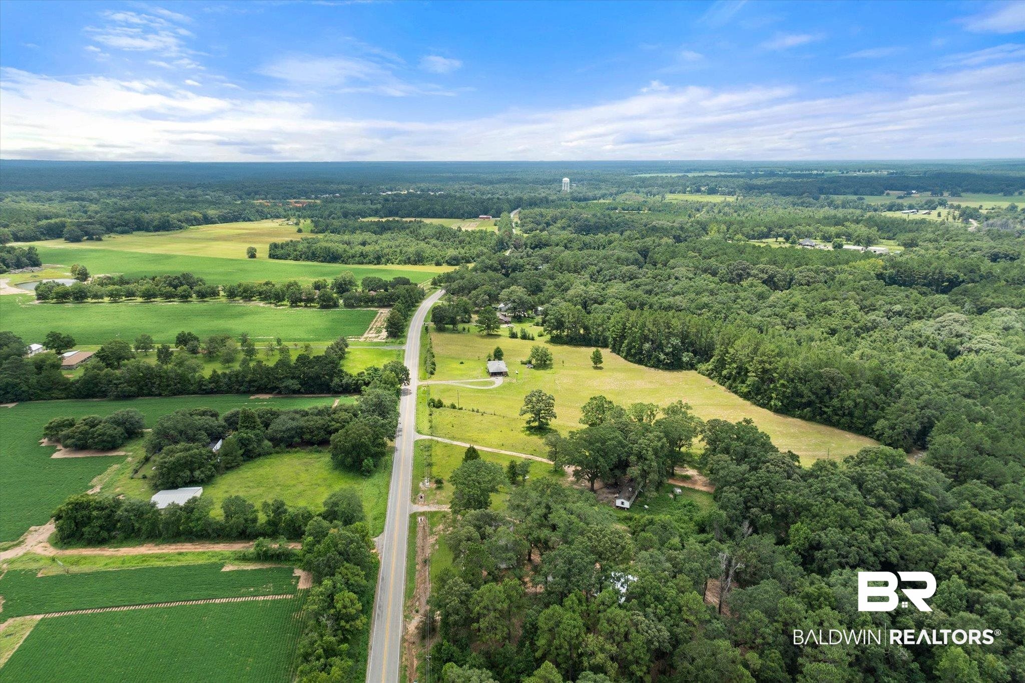11601 Lott Road Chunchula, AL 36521 - Photo 25 of 34 Bird's eye view of a forest