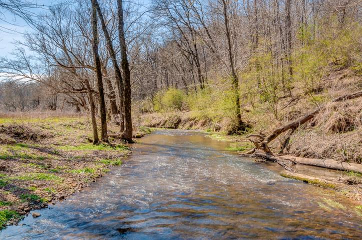 0 Morgan Creek Road Centerville, TN 37033 - Photo 11 of 23