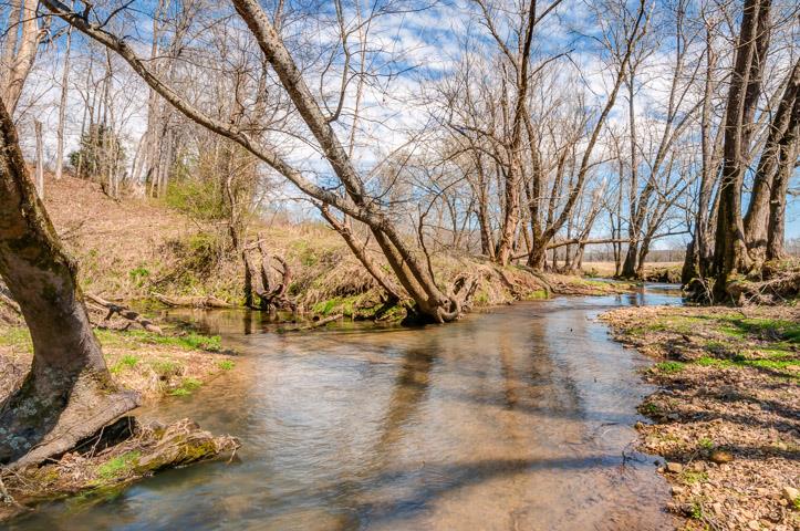 0 Morgan Creek Road Centerville, TN 37033 - Photo 12 of 23