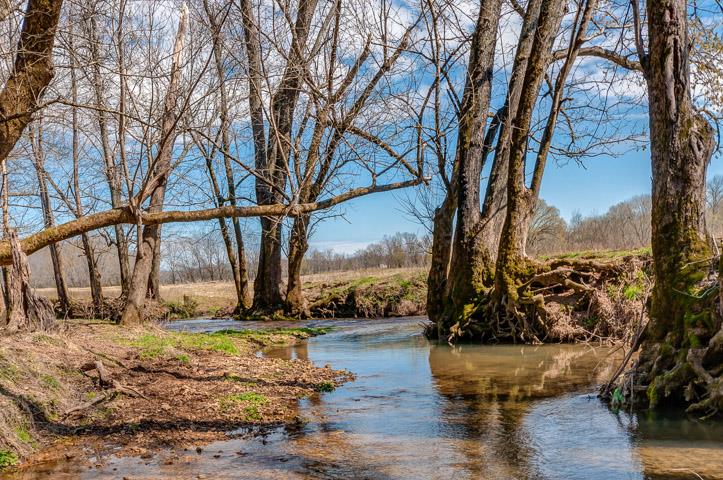 0 Morgan Creek Road Centerville, TN 37033 - Photo 13 of 23
