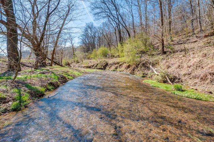 0 Morgan Creek Road Centerville, TN 37033 - Photo 14 of 23