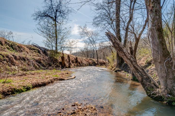 0 Morgan Creek Road Centerville, TN 37033 - Photo 15 of 23