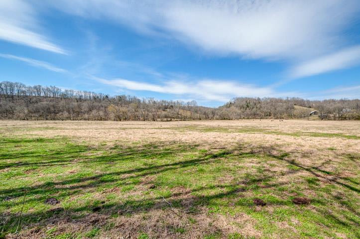 0 Morgan Creek Road Centerville, TN 37033 - Photo 19 of 23