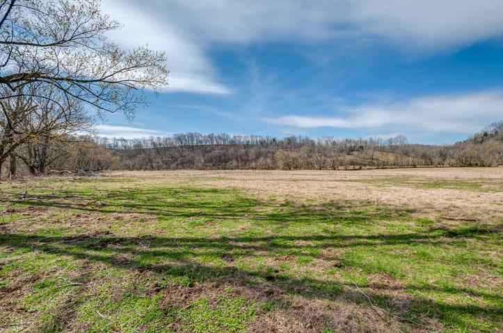 0 Morgan Creek Road Centerville, TN 37033 - Photo 20 of 23