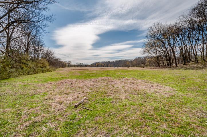0 Morgan Creek Road Centerville, TN 37033 - Photo 22 of 23
