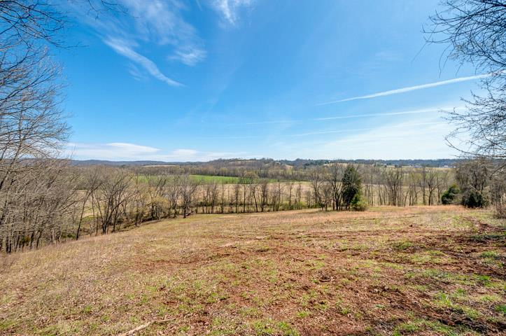 0 Morgan Creek Road Centerville, TN 37033 - Photo 3 of 23 Great View of the Duck River Valley