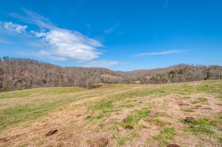 0 Morgan Creek Road Centerville, TN 37033 - Photo 4 of 23 View Looking back up the Dry Creek Valley