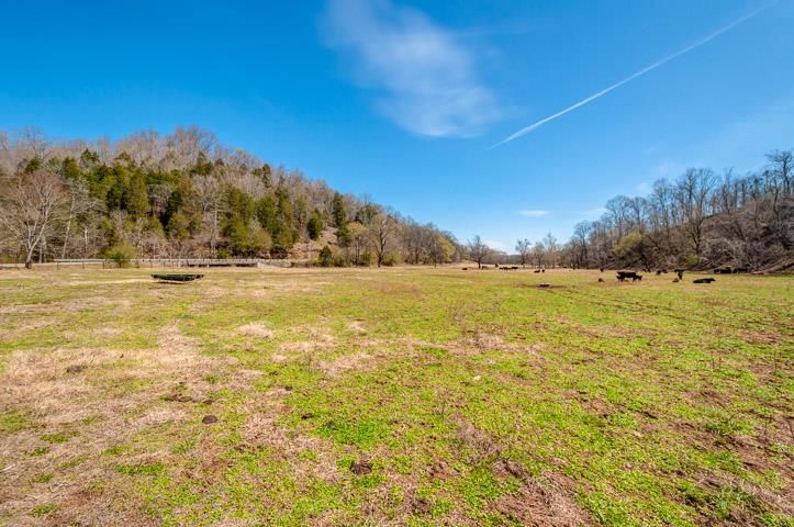 0 Morgan Creek Road Centerville, TN 37033 - Photo 5 of 23