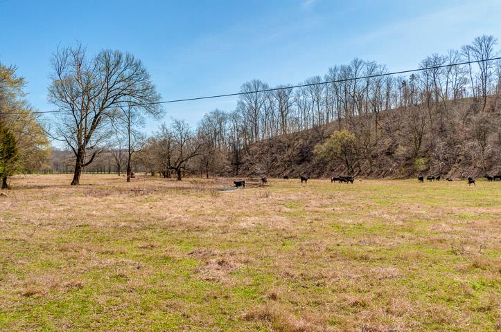 0 Morgan Creek Road Centerville, TN 37033 - Photo 6 of 23