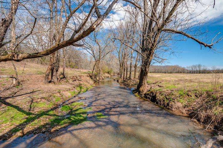 0 Morgan Creek Road Centerville, TN 37033 - Photo 7 of 23