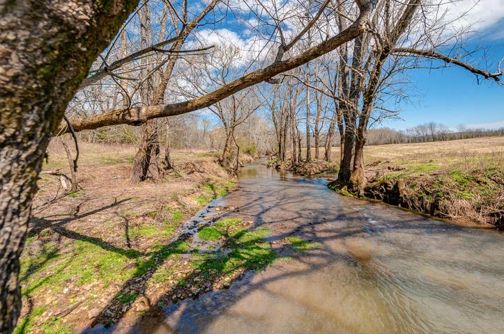 0 Morgan Creek Road Centerville, TN 37033 - Photo 8 of 23