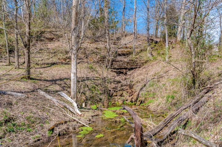 0 Morgan Creek Road Centerville, TN 37033 - Photo 9 of 23 Spring pumping out water into Dry Creek