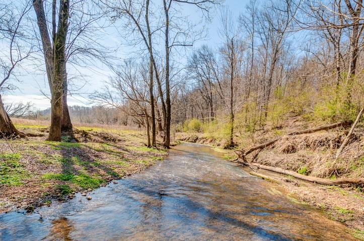 0 Morgan Creek Road Centerville, TN 37033 - Photo 10 of 23
