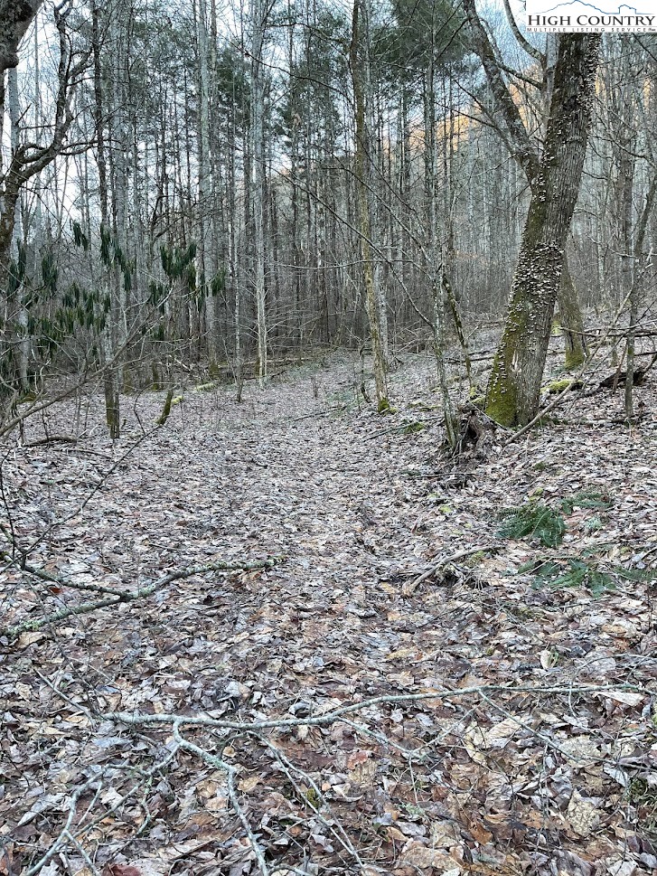0 Dark Ridge Road Elk Park, NC 28622 - Photo 2 of 22 Gallery Image 2