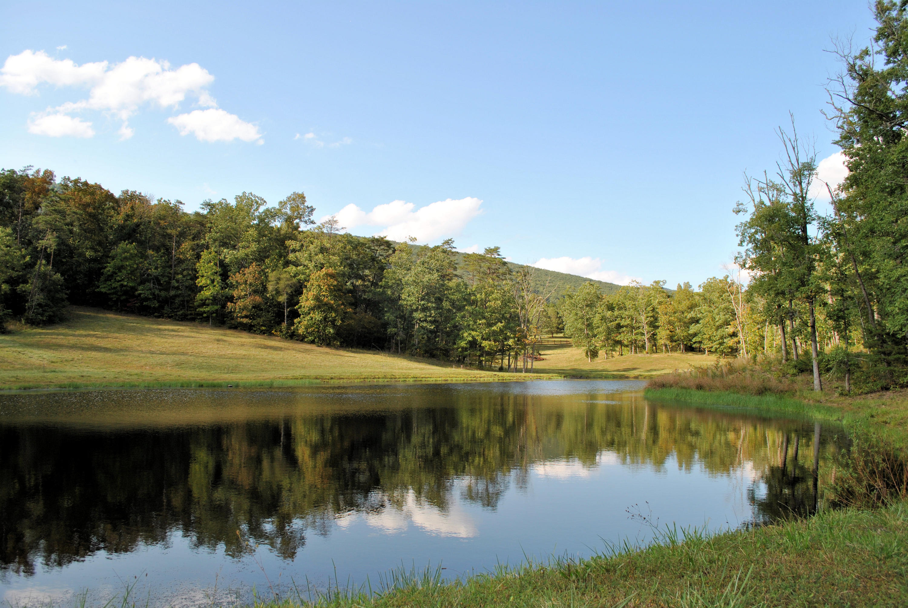3948 Flatwoods Road Elliston, VA 24087 - Photo 1 of 57 a view of a lake with a big yard