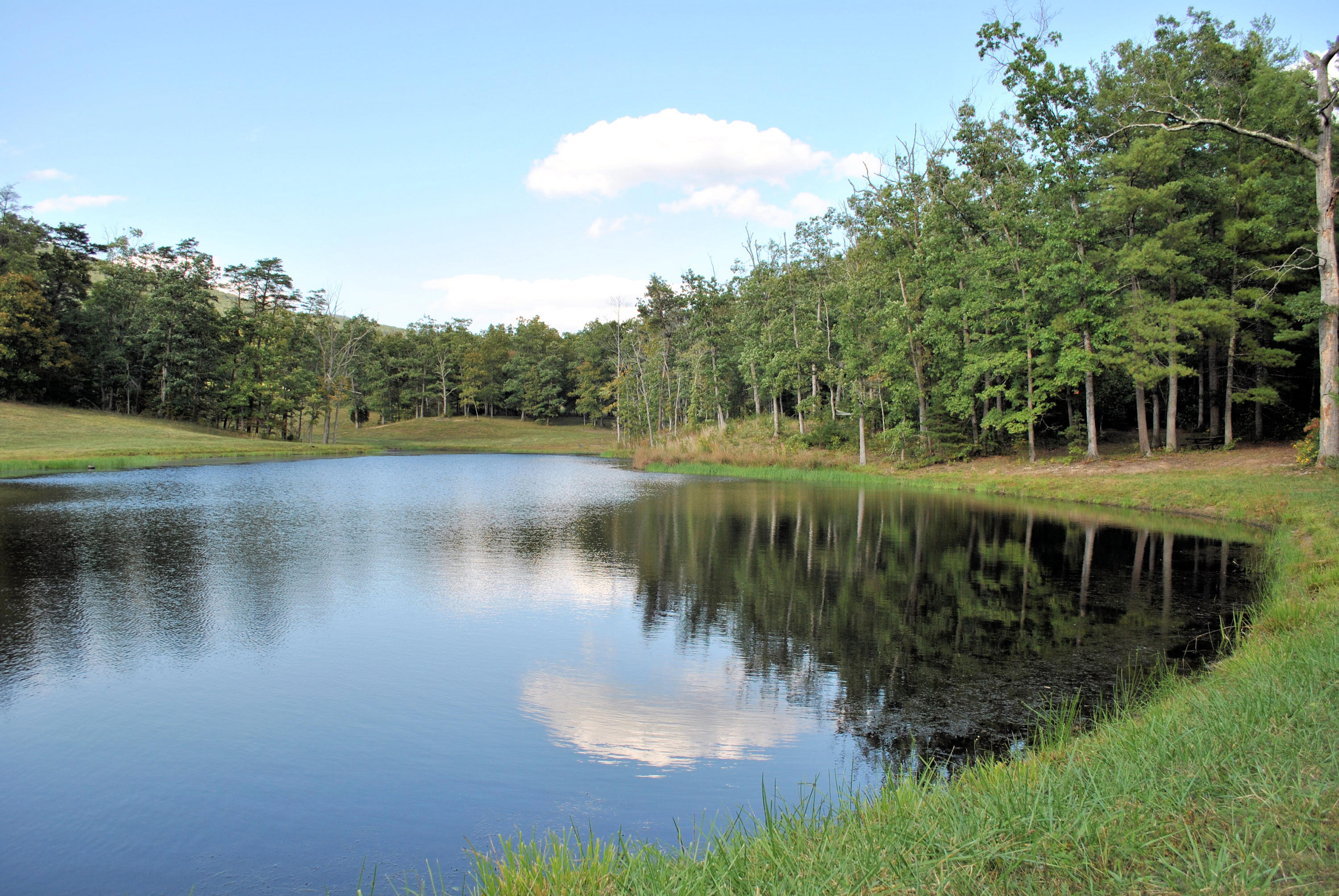 3948 Flatwoods Road Elliston, VA 24087 - Photo 2 of 57 a view of a lake with green space