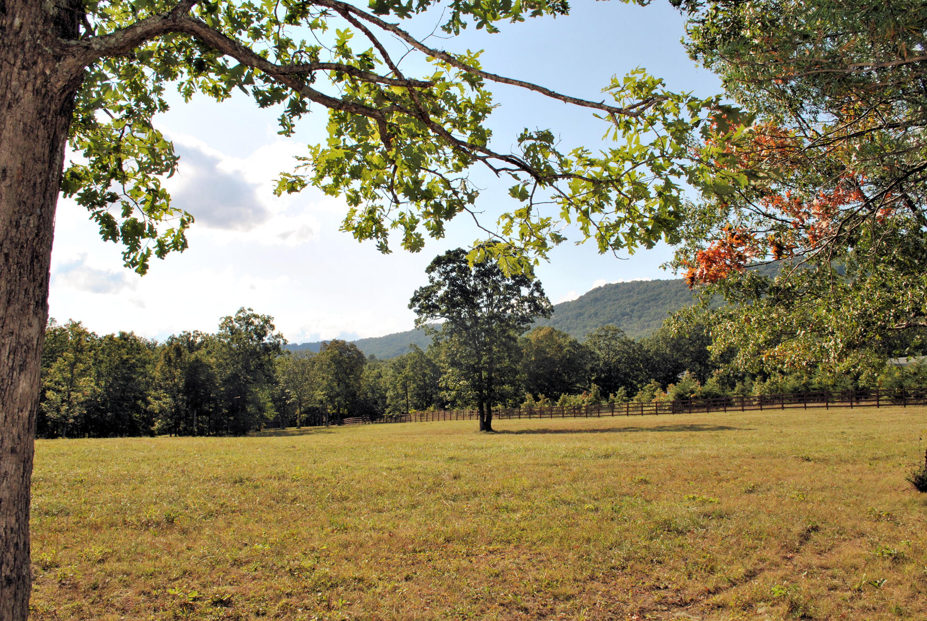 3948 Flatwoods Road Elliston, VA 24087 - Photo 12 of 57 a view of outdoor space