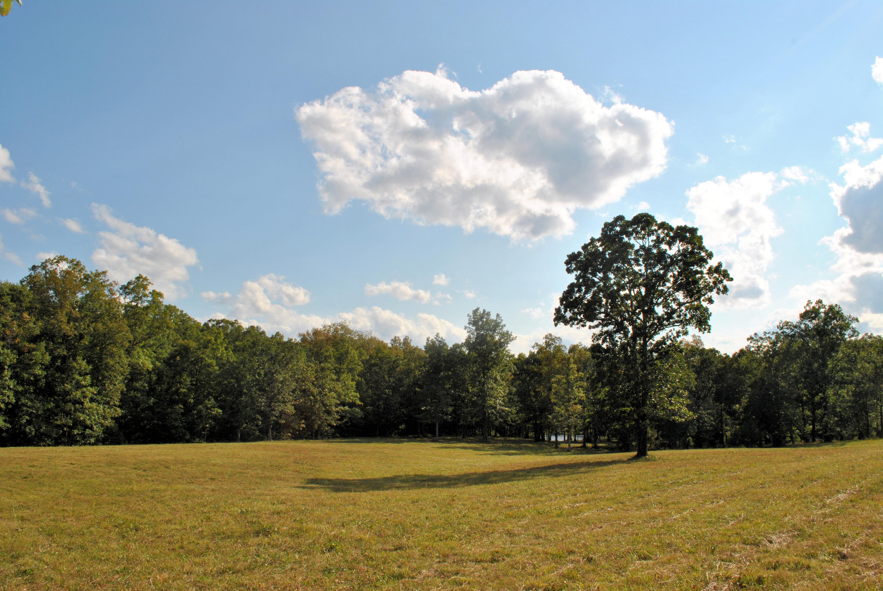 3948 Flatwoods Road Elliston, VA 24087 - Photo 13 of 57 a view of pool with trees in the background