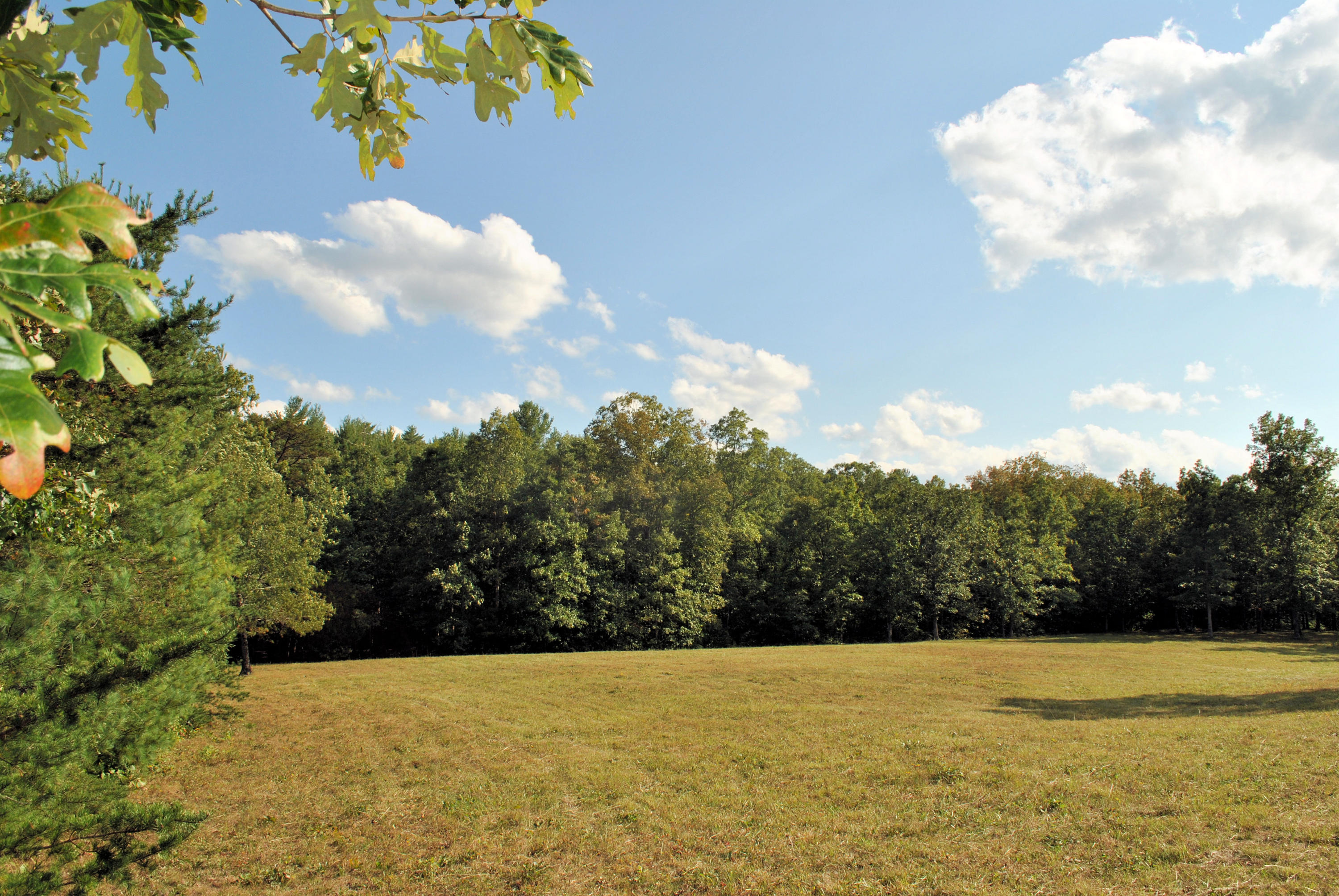 3948 Flatwoods Road Elliston, VA 24087 - Photo 15 of 57 a view of a lake with a yard
