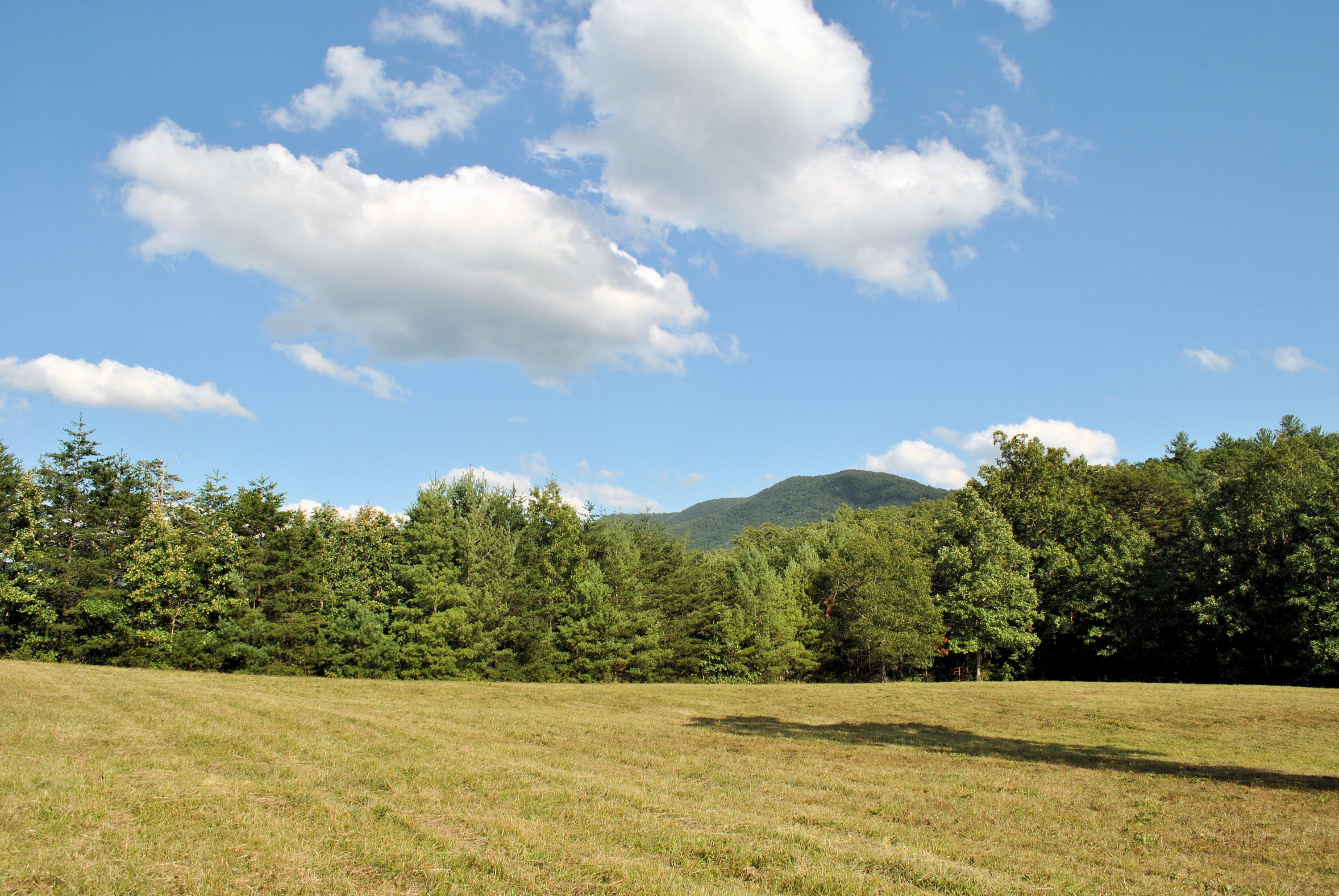 3948 Flatwoods Road Elliston, VA 24087 - Photo 17 of 57 a view of basketball court