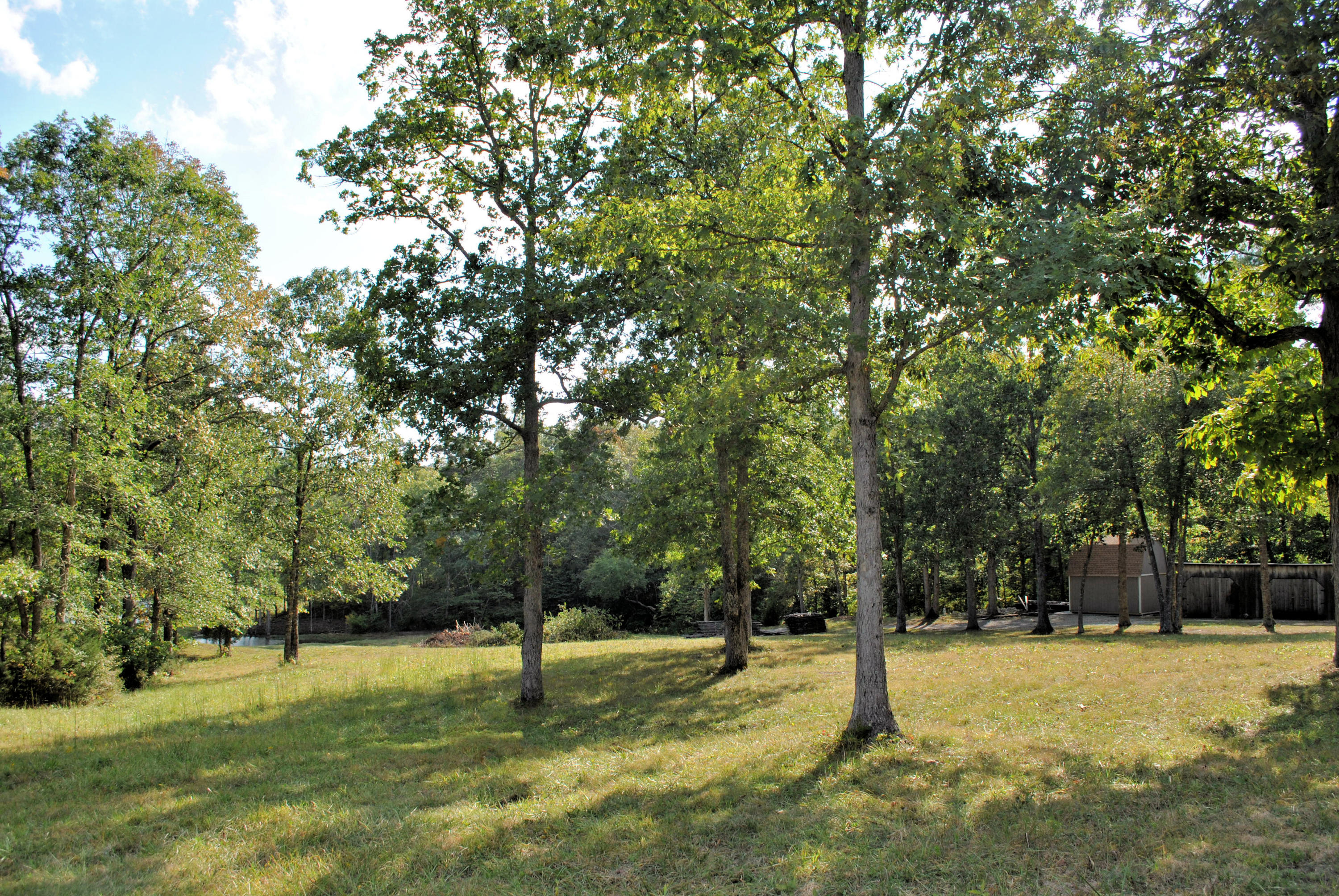 3948 Flatwoods Road Elliston, VA 24087 - Photo 22 of 57 a yard with trees in the background