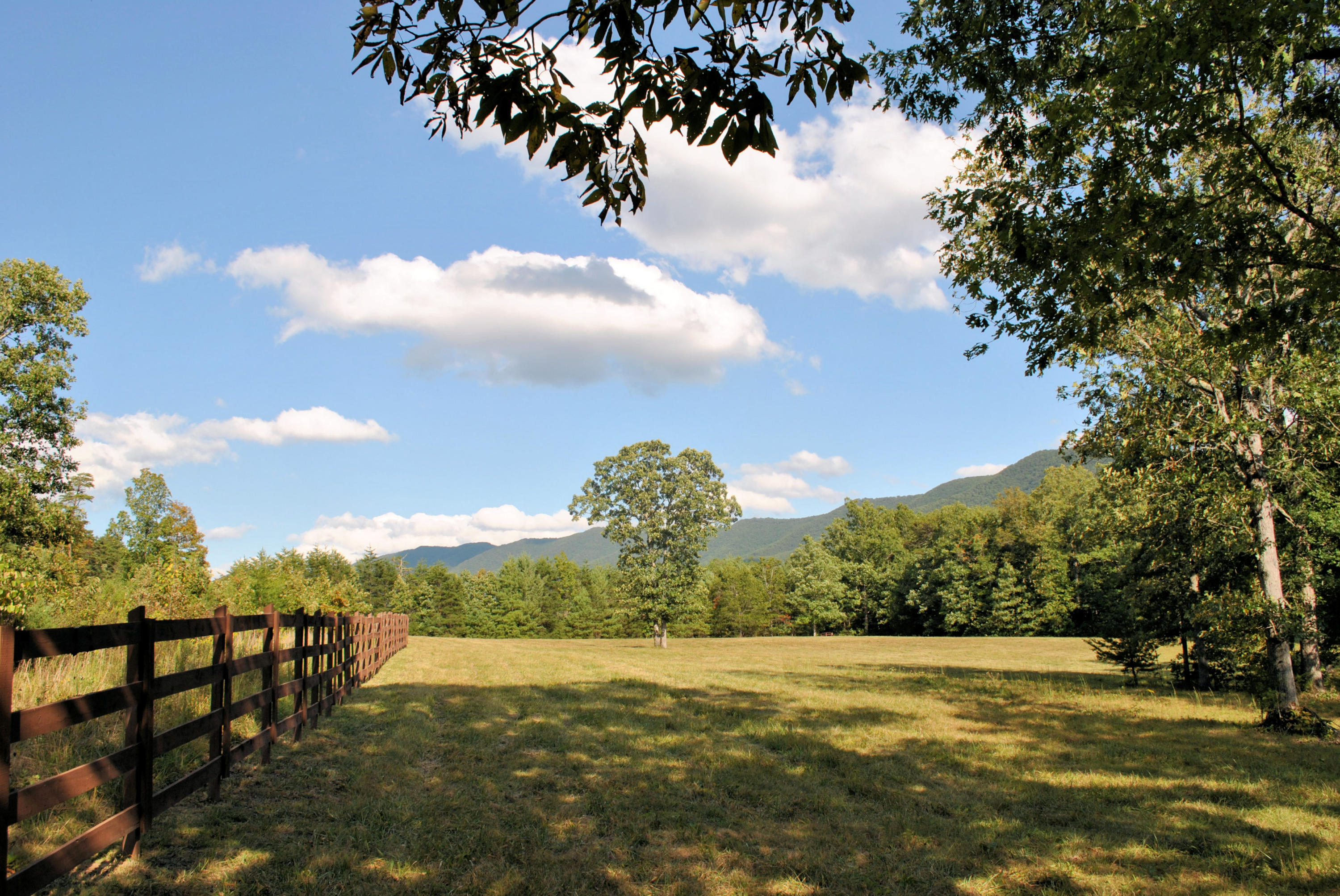 3948 Flatwoods Road Elliston, VA 24087 - Photo 23 of 57 a view of an outdoor space and yard