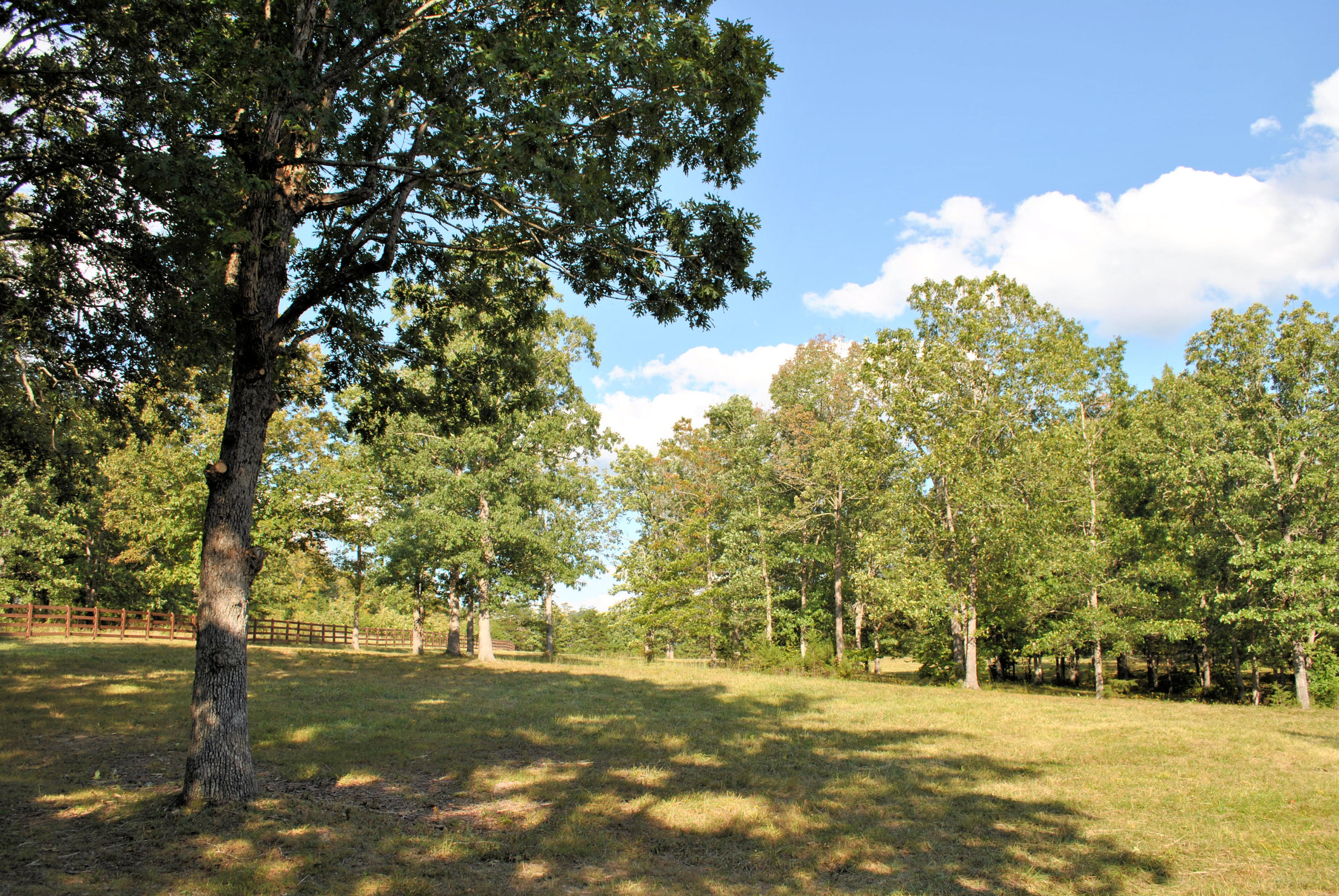 3948 Flatwoods Road Elliston, VA 24087 - Photo 27 of 57 a view of a field with trees in the background