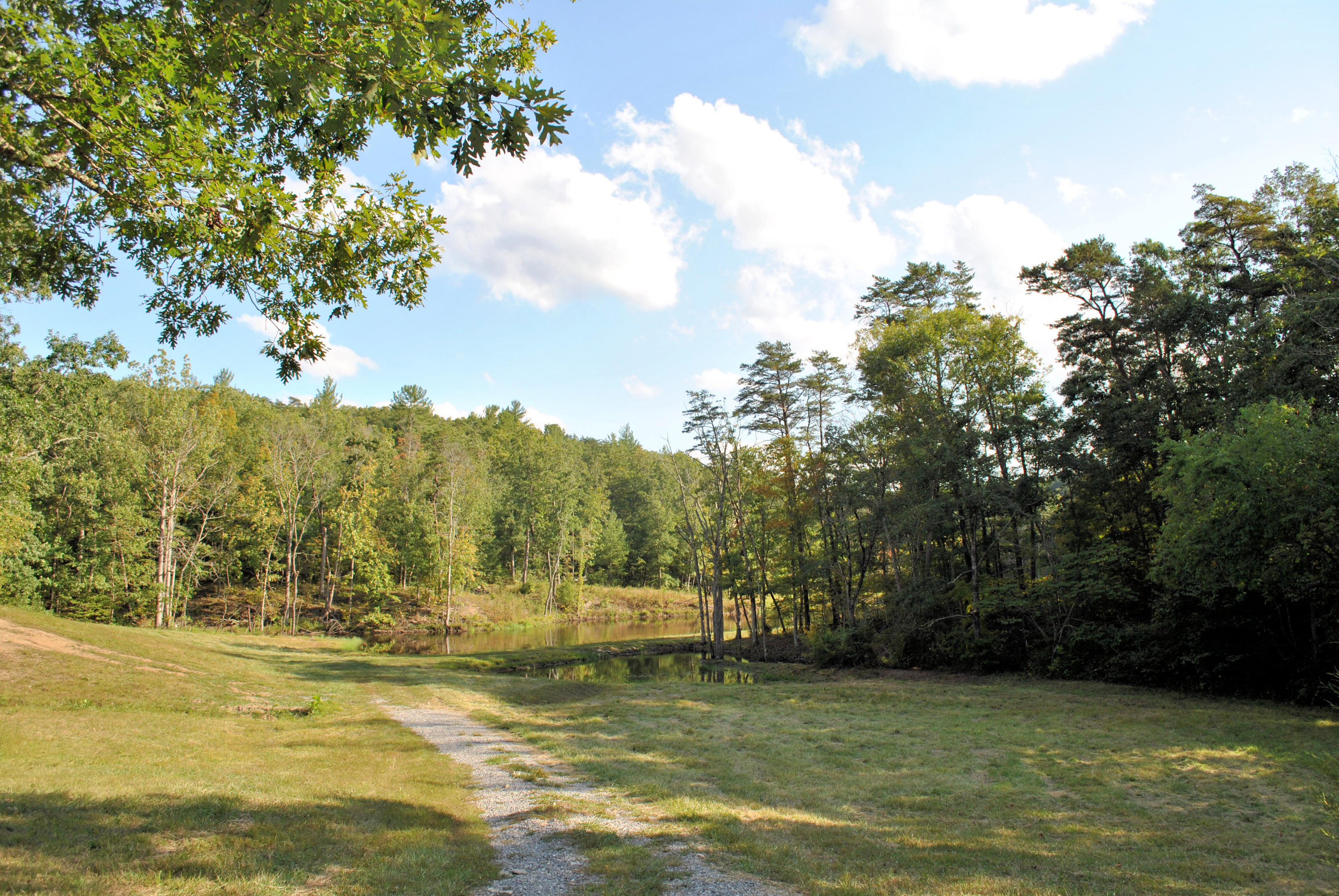 3948 Flatwoods Road Elliston, VA 24087 - Photo 28 of 57 a view of a large body of water with a large tree