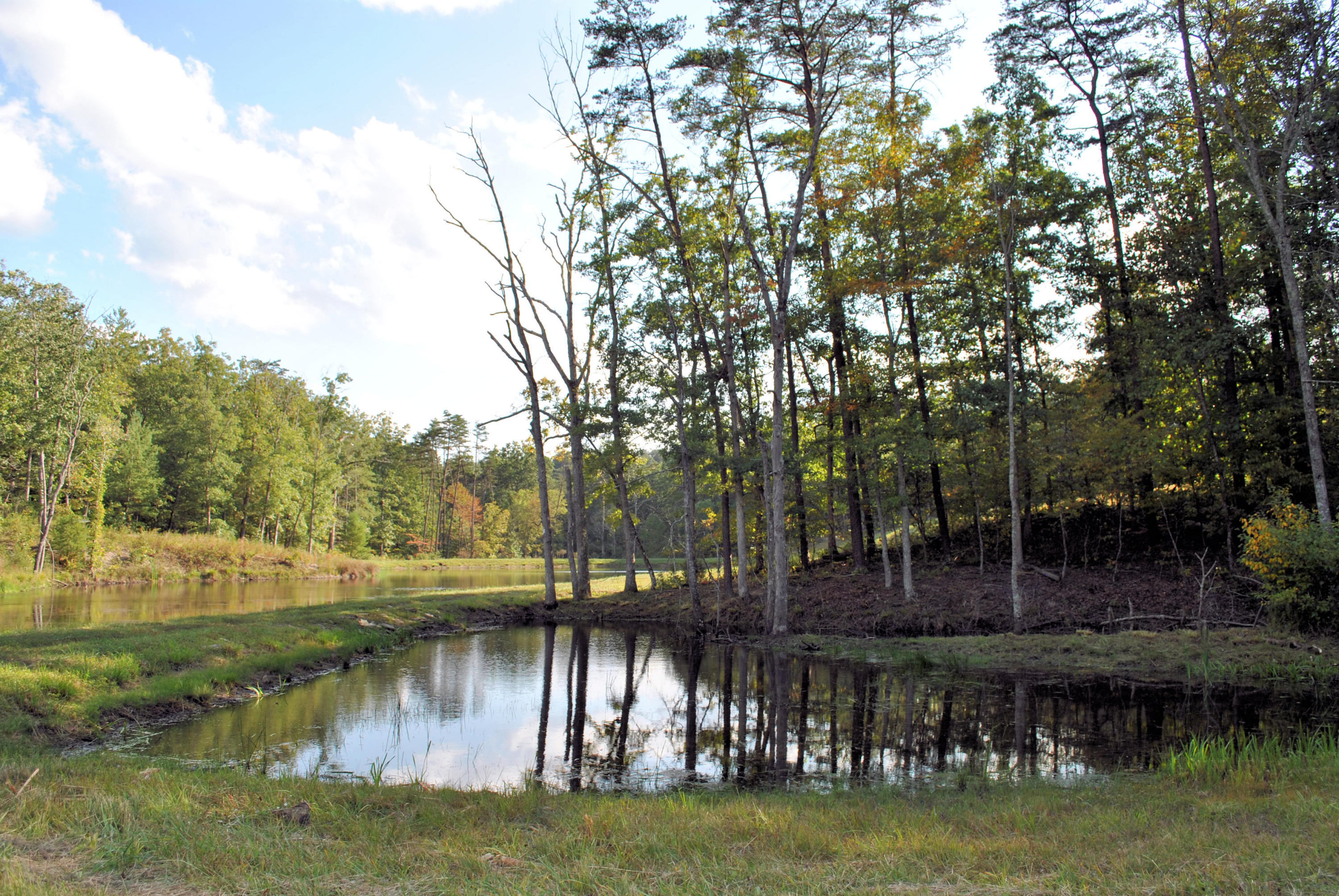 3948 Flatwoods Road Elliston, VA 24087 - Photo 29 of 57 a view of swimming pool with a yard and trees