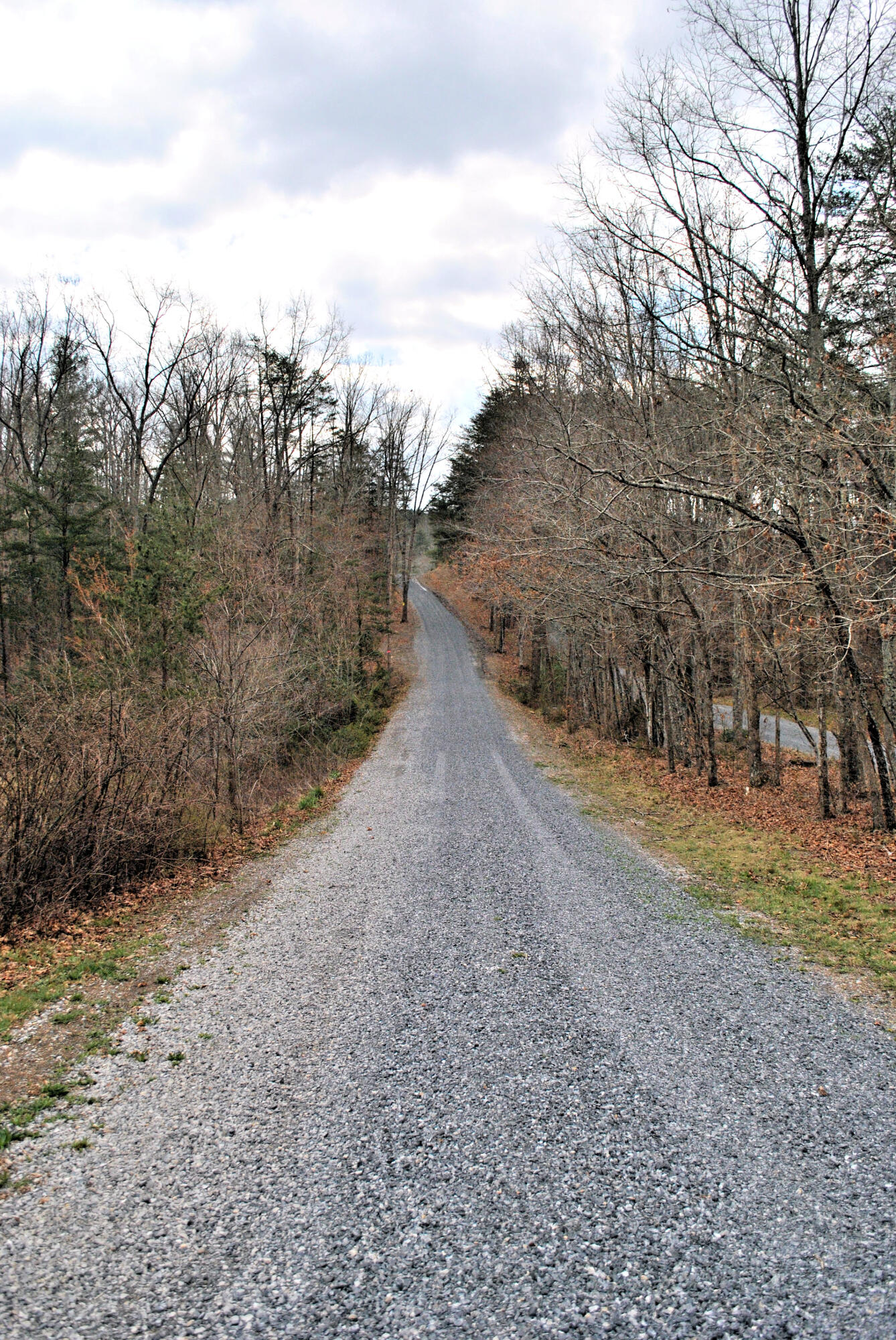 3948 Flatwoods Road Elliston, VA 24087 - Photo 4 of 57 a view of a dirt road with trees in the background
