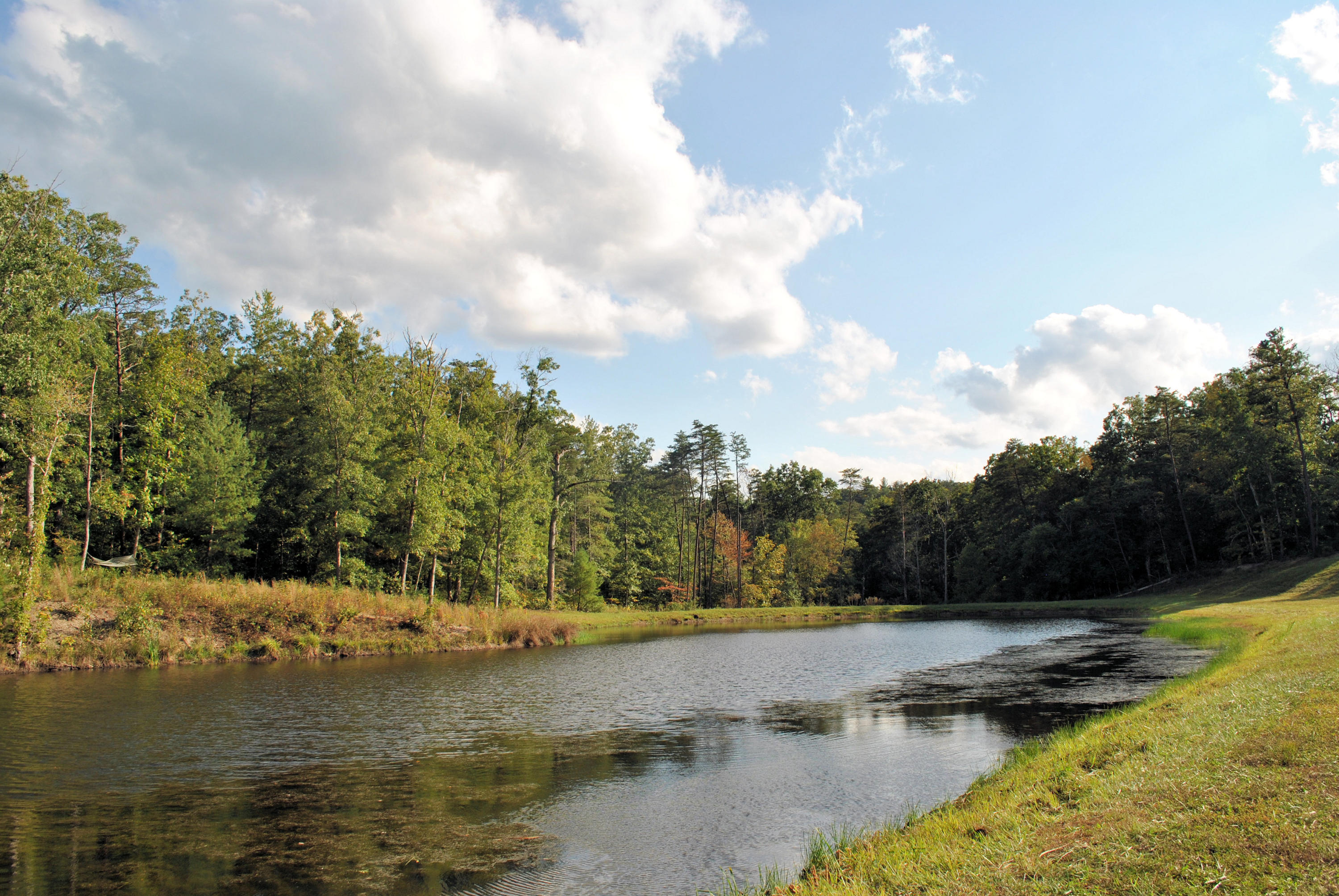 3948 Flatwoods Road Elliston, VA 24087 - Photo 33 of 57 DSC_0987