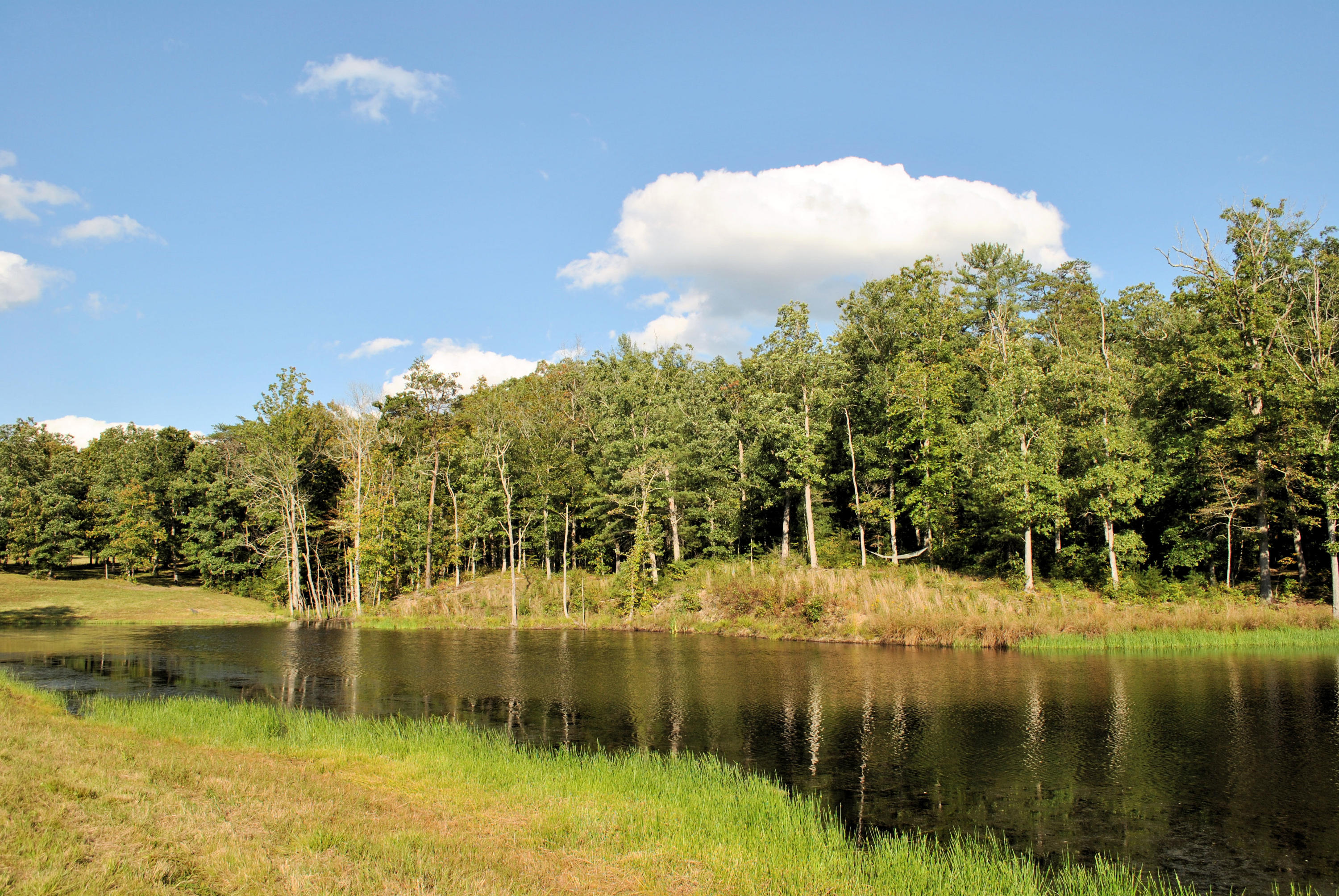3948 Flatwoods Road Elliston, VA 24087 - Photo 34 of 57 a view of lake