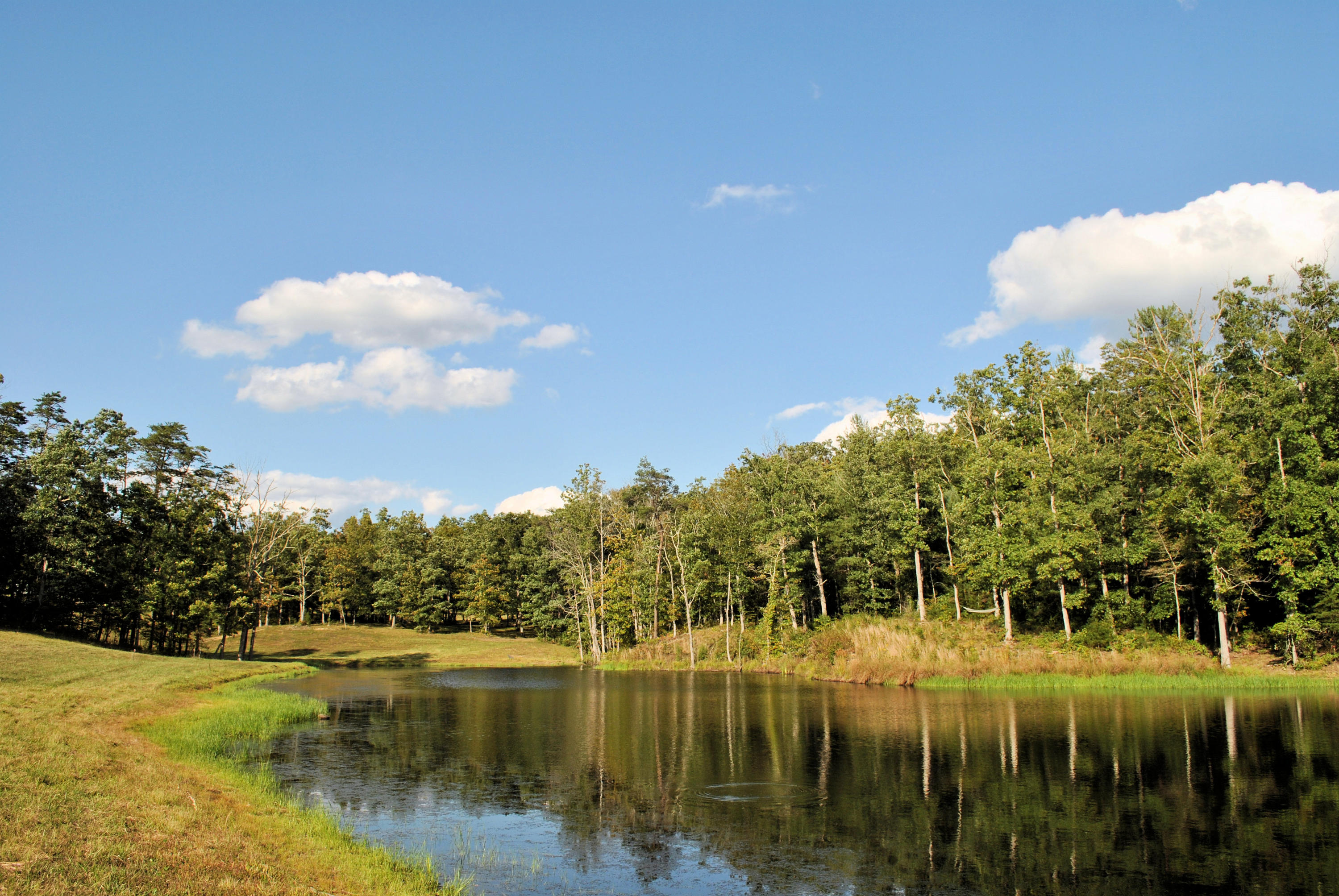 3948 Flatwoods Road Elliston, VA 24087 - Photo 35 of 57 a view of a lake and trees