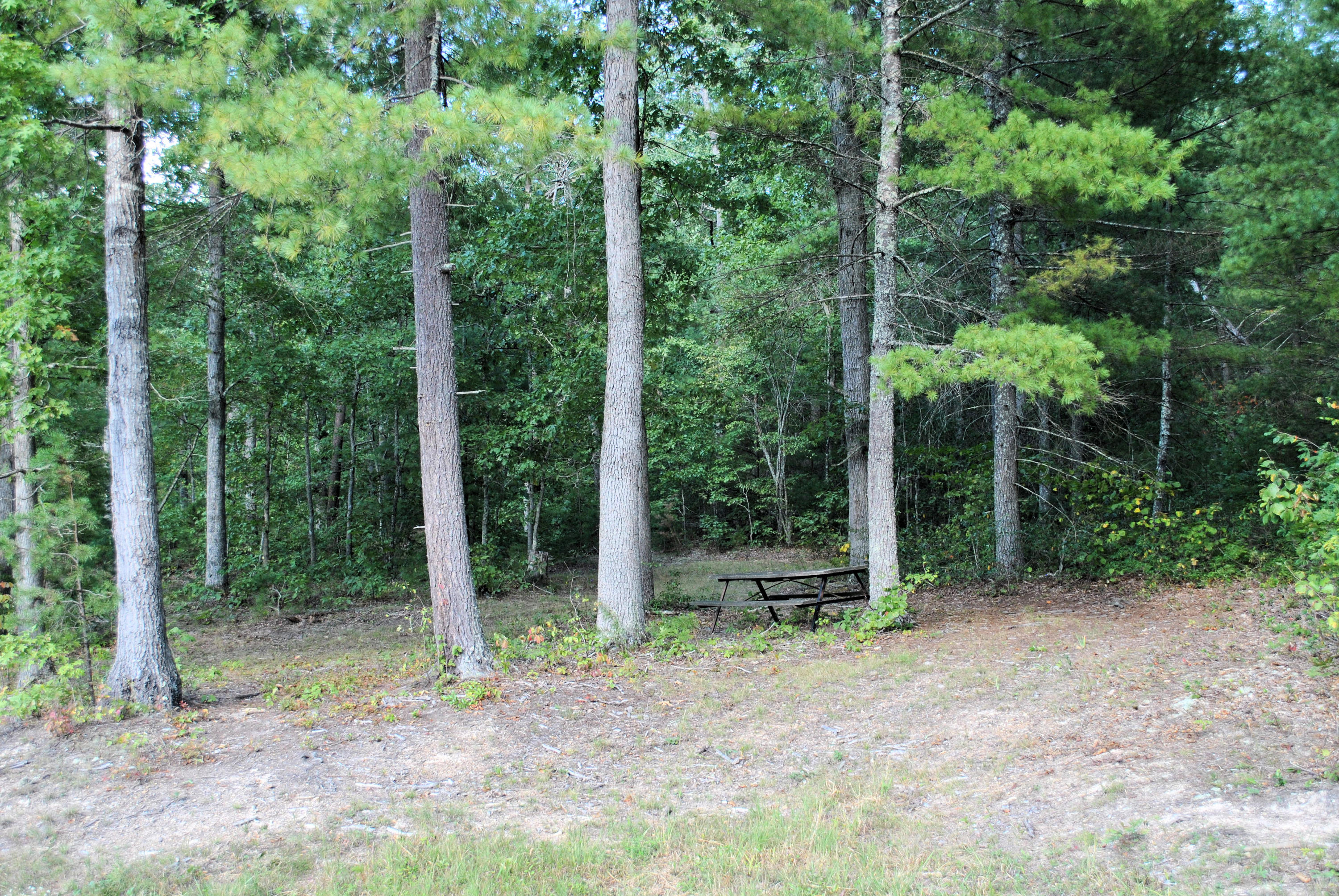 3948 Flatwoods Road Elliston, VA 24087 - Photo 36 of 57 a backyard of a house with lots of green space and fountain