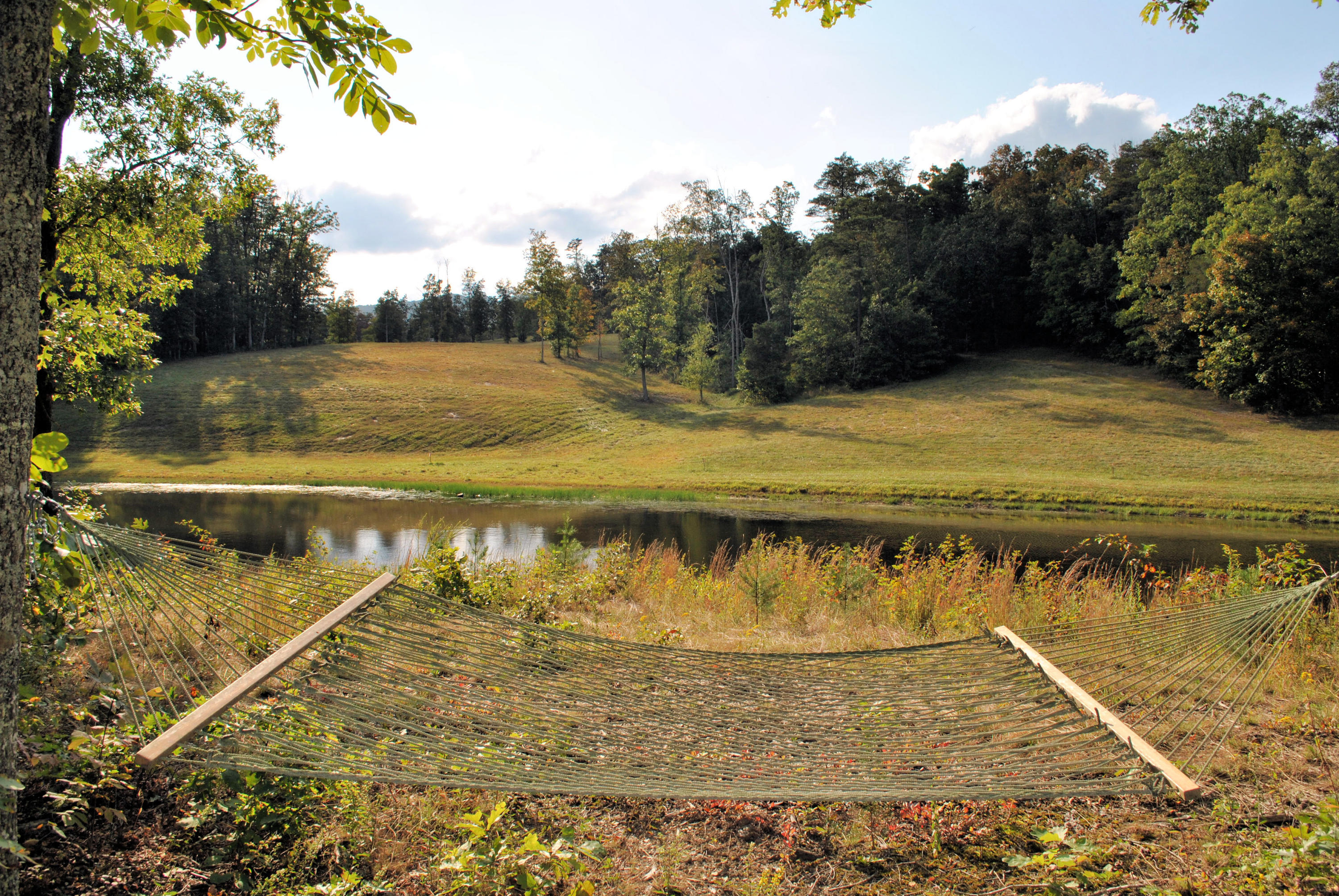 3948 Flatwoods Road Elliston, VA 24087 - Photo 39 of 57 a view of a swimming pool with an outdoor space